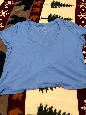 Universal Thread Light Blue V-Neck Crop Top